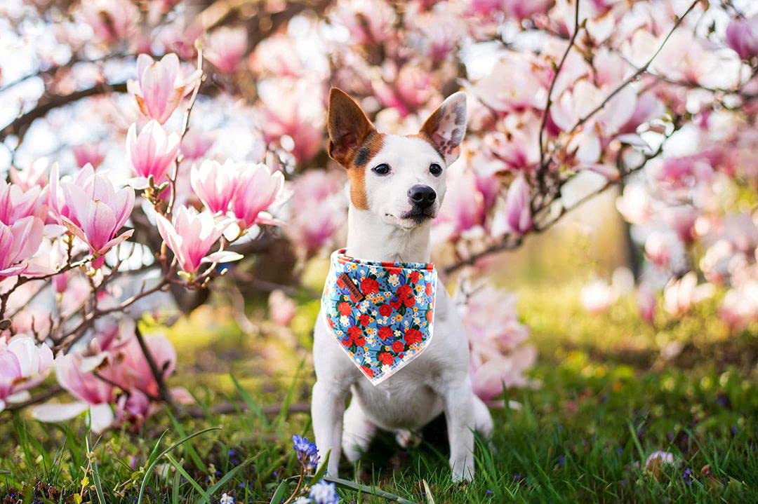 Lionheart Glory Dog Bandana 1 Pack Washable Soft Cotton Floral Print Bibs Scarf, Adjustable Kerchief Square Dog Bandanas For Lar
