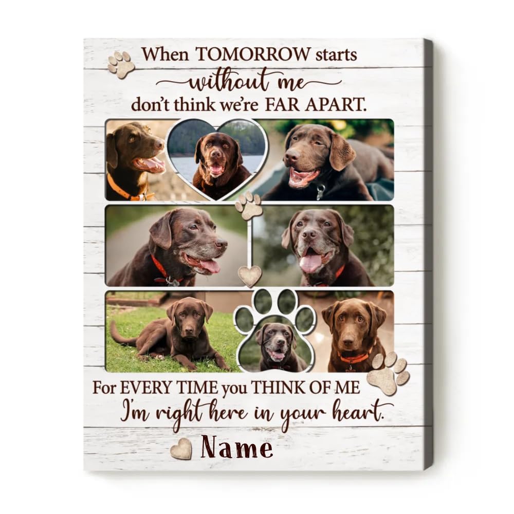 Benicee Shop In Memory Of Pet Memorial Photo Collage, Personalized Dog Loss Gift, Sympathy Gifts For Pet Lovers, Changing Colorf