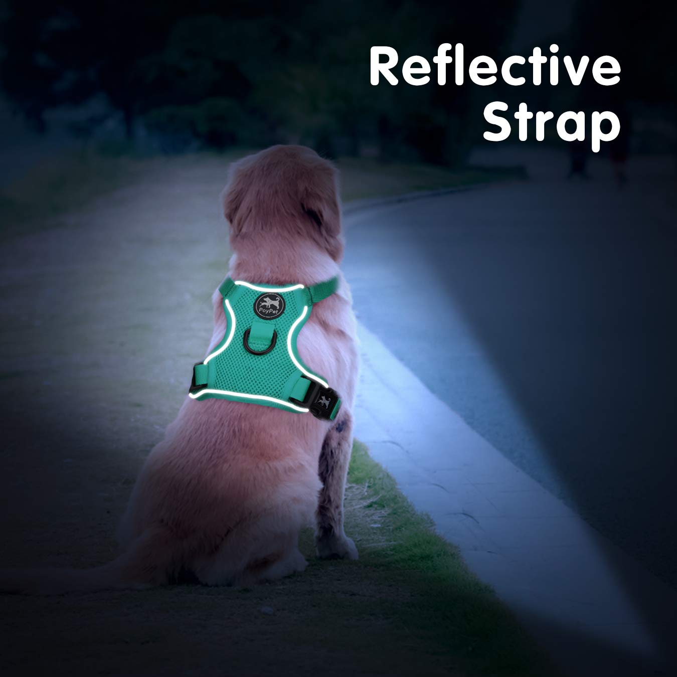 Poypet Reflective Soft Breathable Mesh Dog Harness Choke-Free Double Padded Vest With Adjustable Neck And Chest(Mint Green,L)