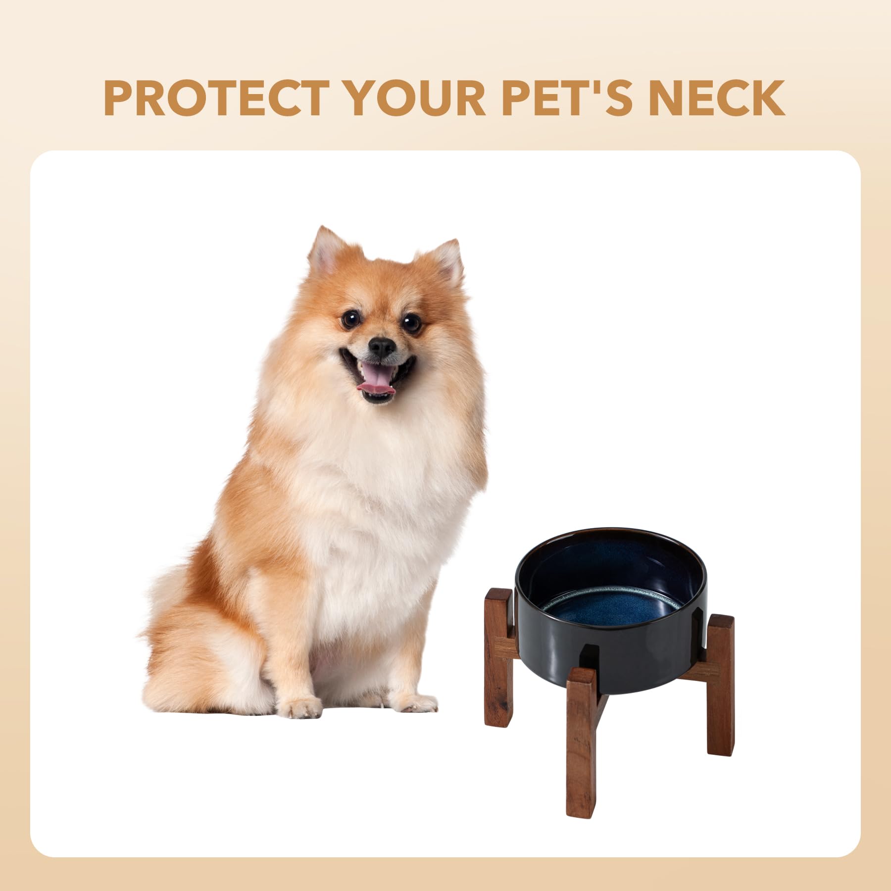 Havniva Ceramic 6.1inch Raised Dog and Cat Bowl Set, 2 Heights Elevated Wooden Stand for Small Breed Dogs, Weighted Pet Food and