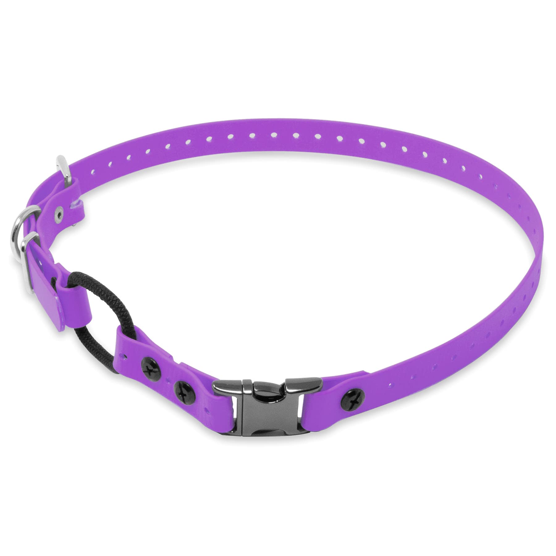 Educator Quick Snap Bungee Dog Collar, Biothane, Waterproof, Odorproof, Easy Connect And Disconnect Clasp And D Ring With Comfort Bungee Loop, Adjustable For Custom Fit, 3/4-Inch, Purple
