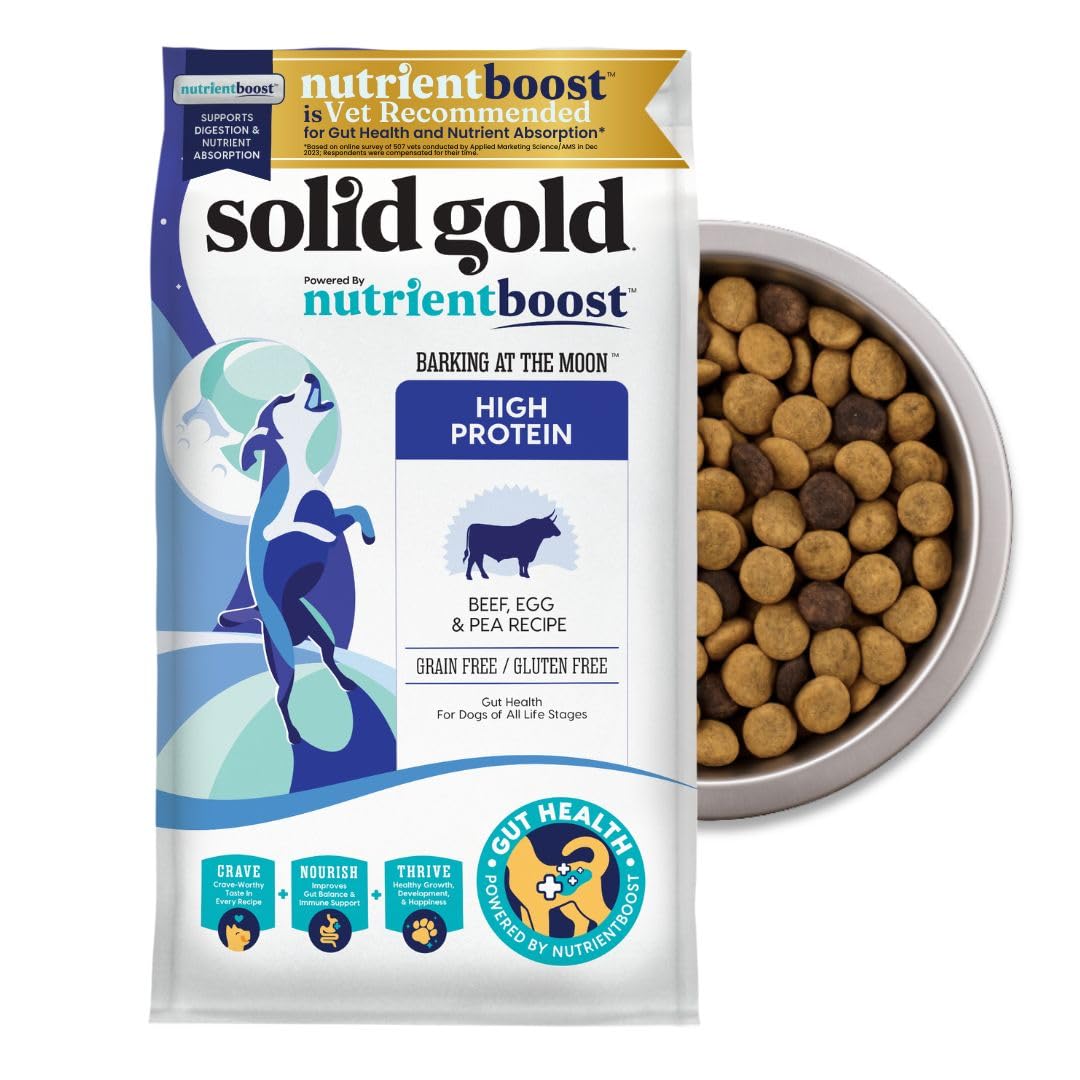 Solid Gold High Protein Dog Food Dry Dog Kibble - Premium Beef Protein & Digestive Probiotics for Energy, Muscle, Gut & Immune S