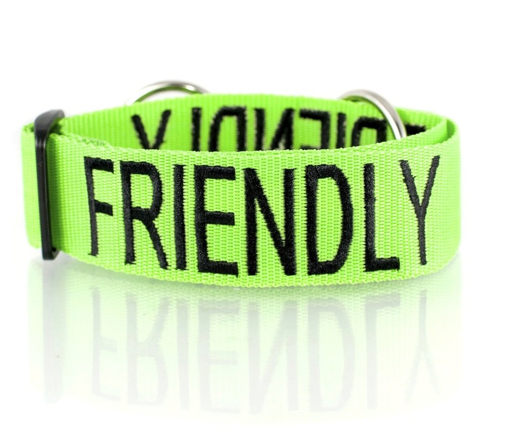 Friendly (Known as Friendly to All) Green Colour Coded Wide L-XXL Semi-Check Dog Collar Prevents Accidents by Warning Others of 