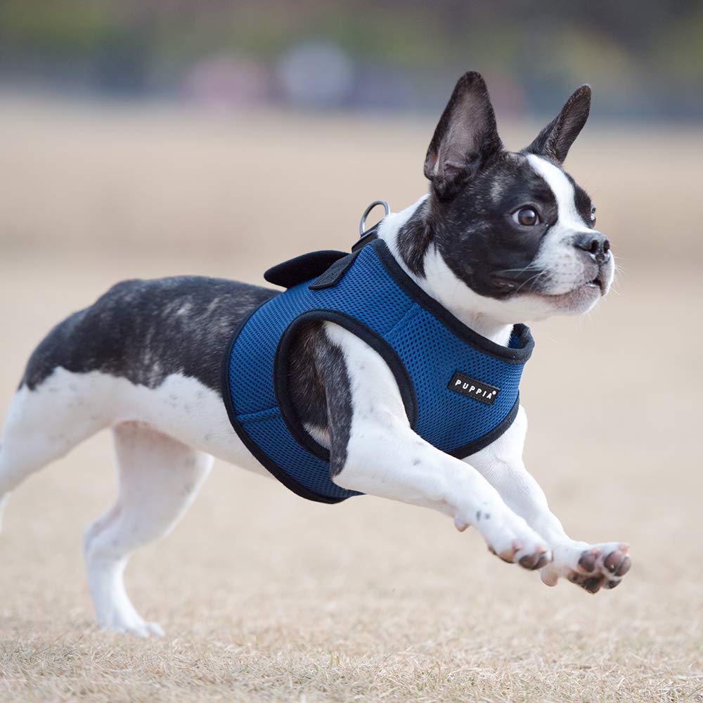 PUPPIA International Puppia Harness Soft B Vest Royal Blue XLarge