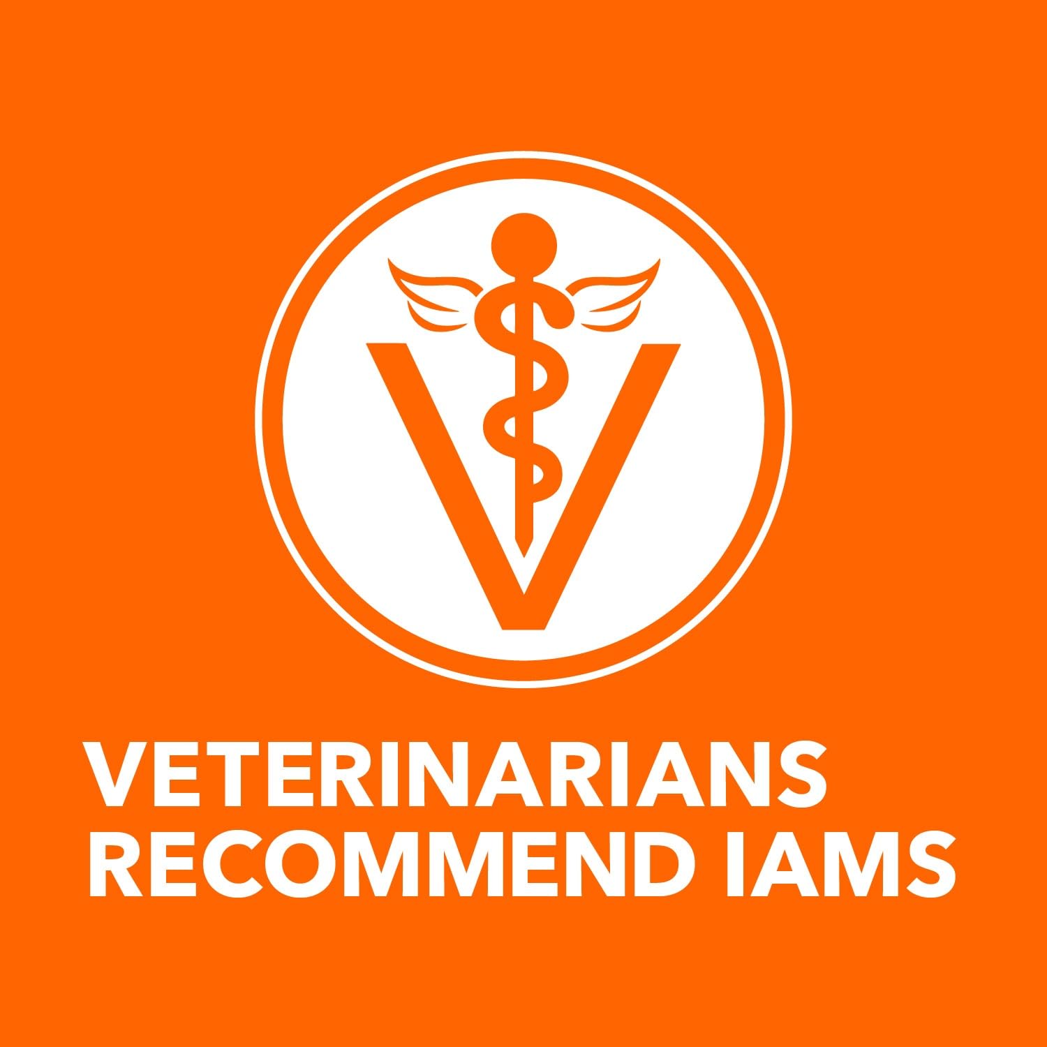 IAMS Proactive Health Healthy Adult Dry Cat Food with Chicken, 3.5 lb. Bag