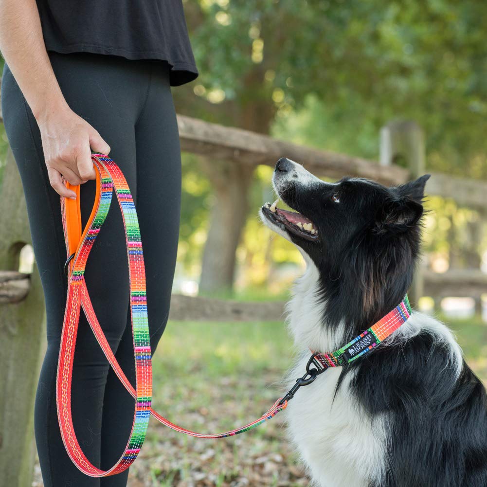 Leash Boss 6Ft Dog Leash | Ultra Comfort Double-Thick Soft Padded Handle | Reflective Leash For Large Dogs, Medium Dogs | Heavy Duty Leash For Large Breed Dogs | Nylon Leash For Small Dogs/Puppies