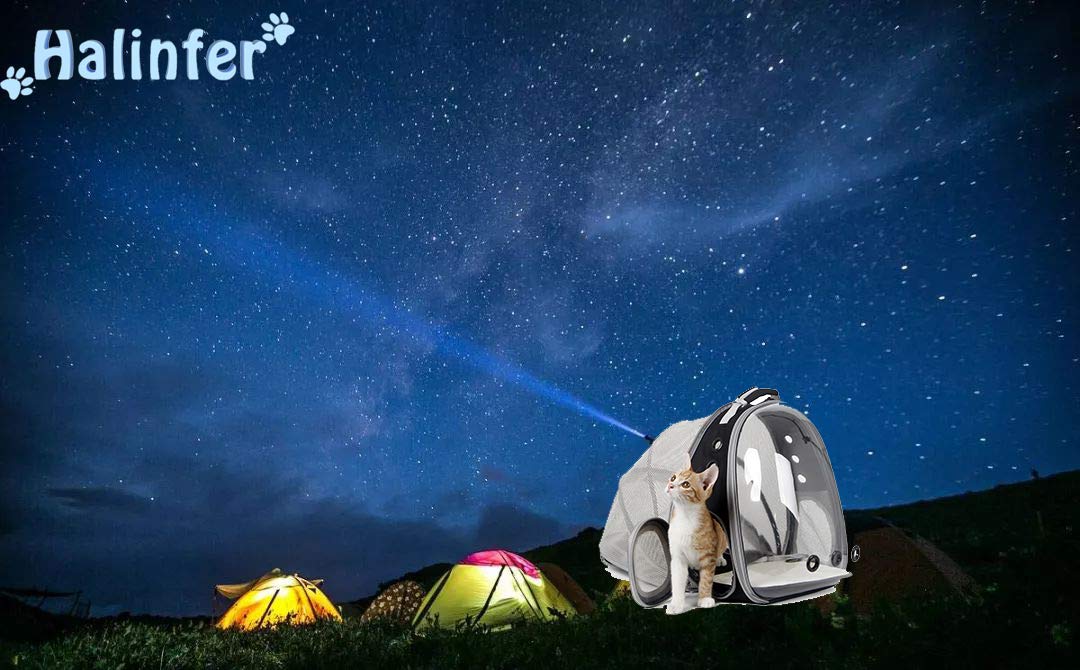 Expandable Cat Backpack Carrier, Fit Up To 20 Lbs, Space Capsule Astronaut Bubble Window Pet Backpack For Large Cat And Small Puppy (Yellow, Dual Extension)