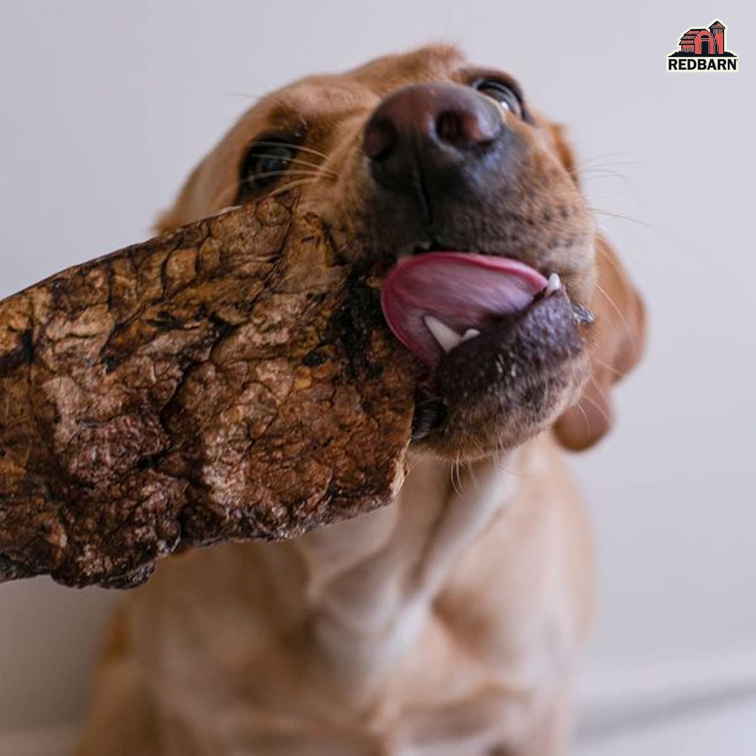 Redbarn Pet Products Natural Choppers Beef Lung Chew Treats for Dogs - Premium Made in USA Rawhide-Free Single Ingredient High P