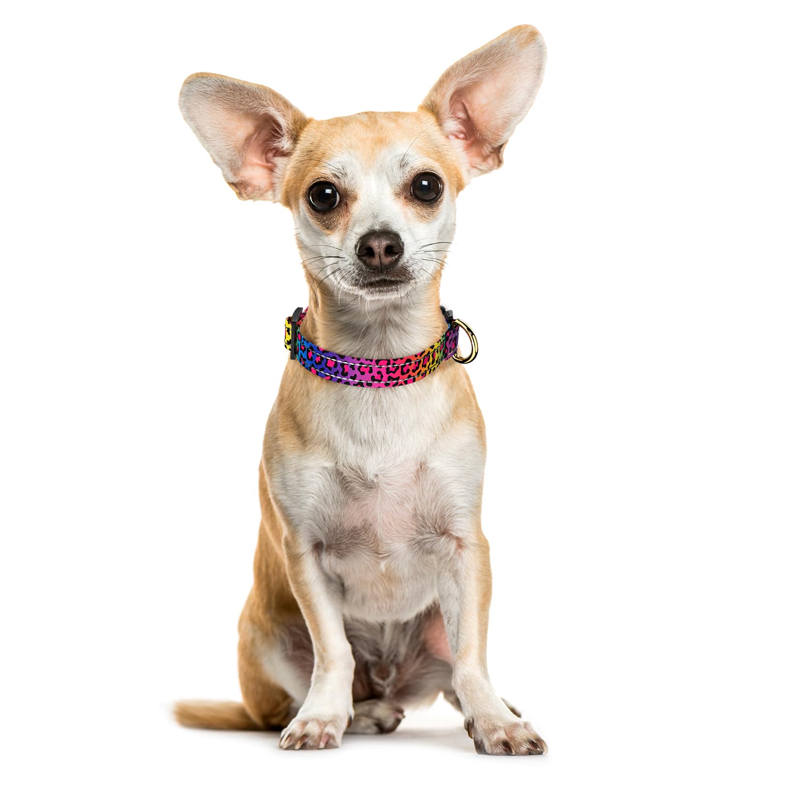 Tmoodel Reflective Dog Collar For Extra Small Dogs Cats, Cute Leopard Style Adjustable Heavy-Duty Nylon Puppy Collar For Boy And