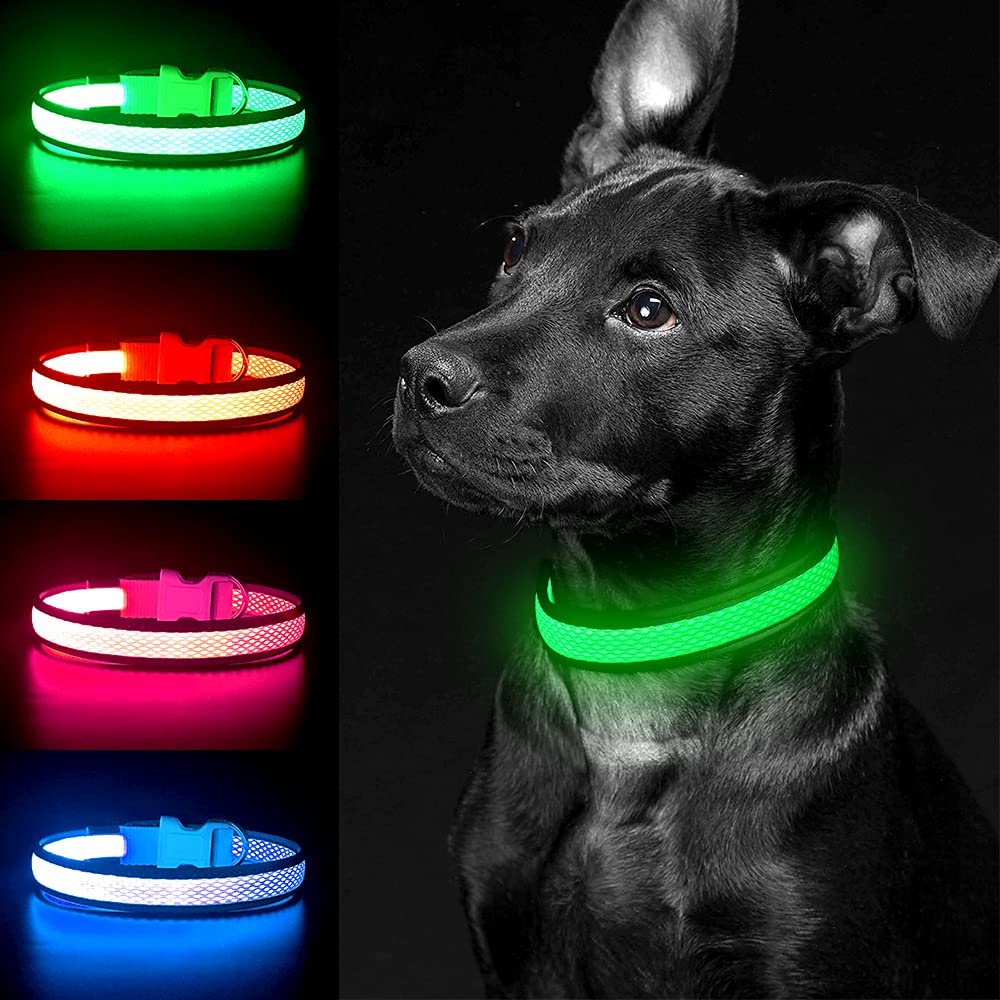 Yfbrite Light Up Dog Collar, Rechargeable Led Dog Collar, Flashing Dog Collar, Adjustable Reflective Dog Collar Safety Glowing At Night (Green, Small)