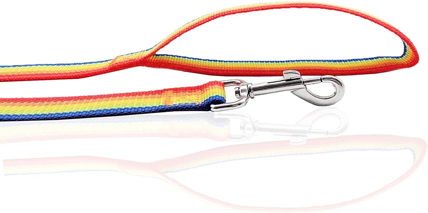Nylon Dog Leash 4 Ft 5 Feet 6 Foot Long, Walking Training Dog Leashes For Medium Large Dogs, 1 Inch Wide (3/4'' X 6 Ft, Rainbow)
