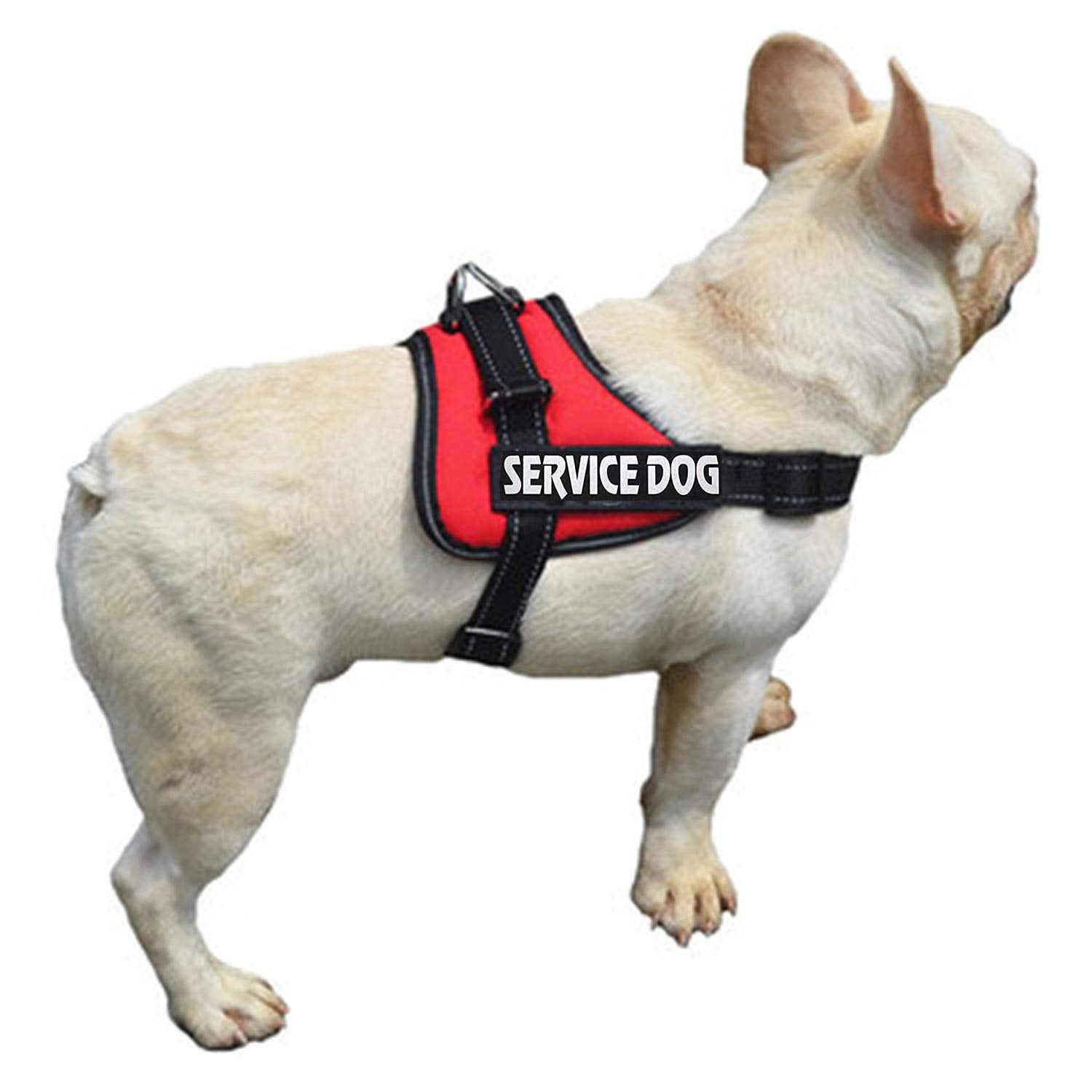 Removable Dog Patches For Vests & Harness-Reflective/White Letter/2 Pack