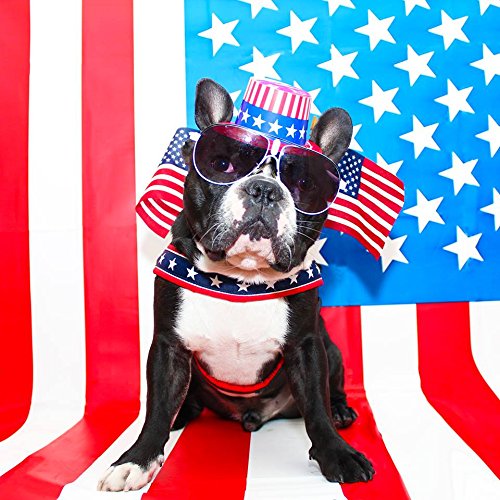 Comfortflex Martingale Collar - Made In The Usa - 1.5'' Wide, Reflective, Adjustable, Fully Padded Nylon, Gentle Control, Escape