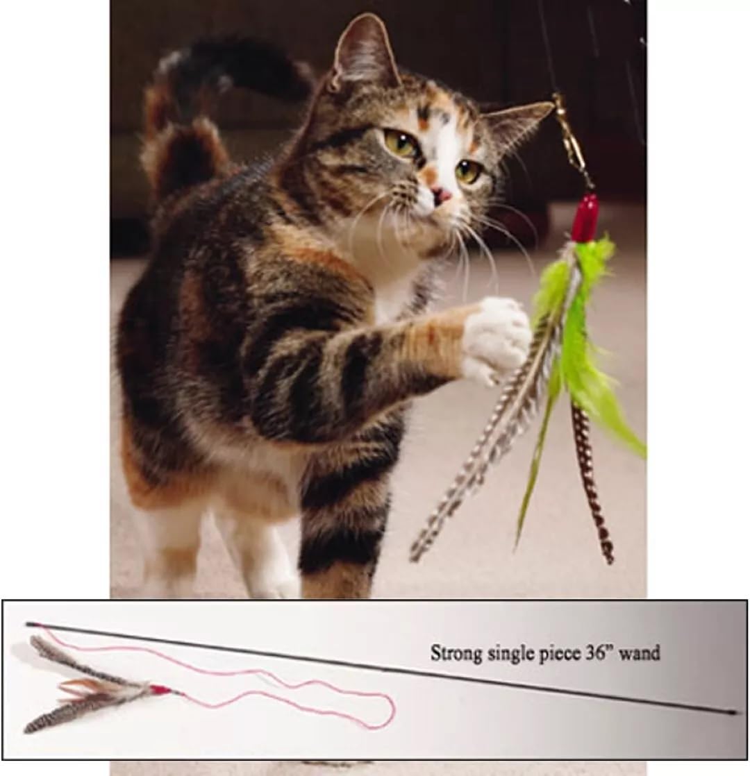 Go Cat Da Bird Single Pole Teaser On 36 Inch Rod