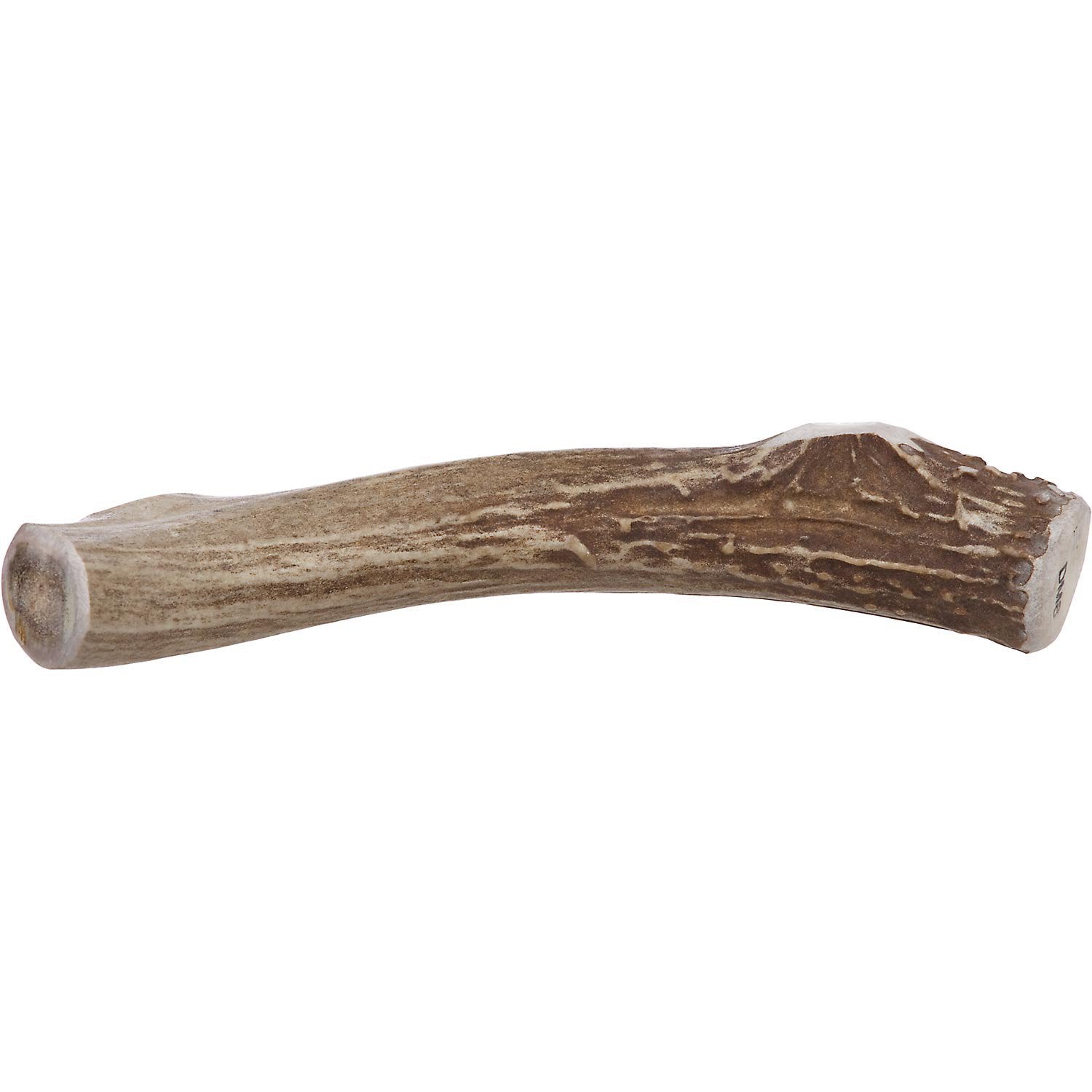 Prairie Dog | Deer Antler Chew | Naturally Shed - Hand Harvested in North America | X-Large | 8-9