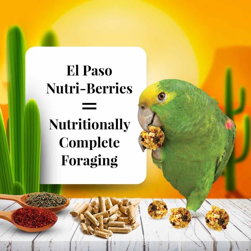 LAFEBERS El Paso Nutri-Berries Pet Bird Food, Made with Non-GMO and Human-Grade Ingredients, for Parrots, 3 lb