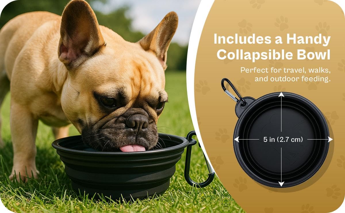 2 Ceramic Slow Feeder Dog Bowls for Small & Medium Dogs - Heavy Puzzle Maze Ceramic Dog Bowl for Fast Eaters to Stop Bloat, Vomi