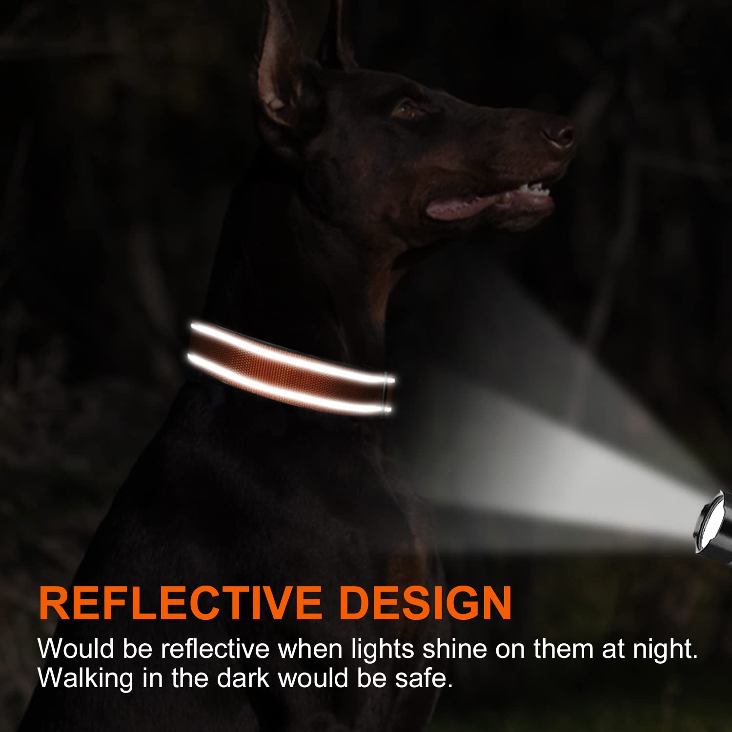Joytale Personalized Dog Collars, Reflective Nylon Dog Collar With Engraved Name Plate, Customized For Medium Dogs, Orange, M
