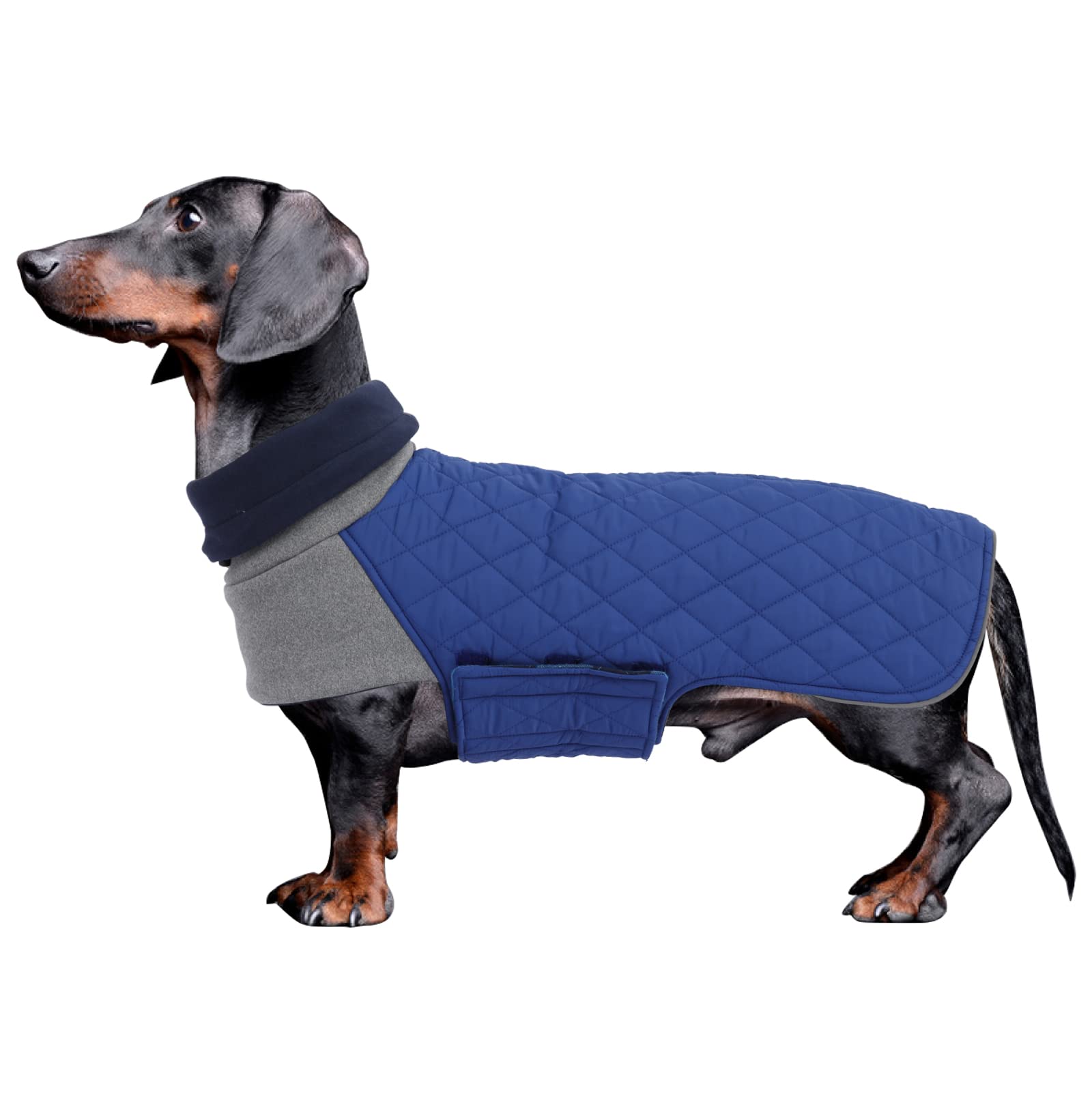 Geyecete Dachshund Coat,Dachshund Winter Coat,Warm Waterproof Windproof, High Neckine String Holes Miniature Dachshund Jacket Fo