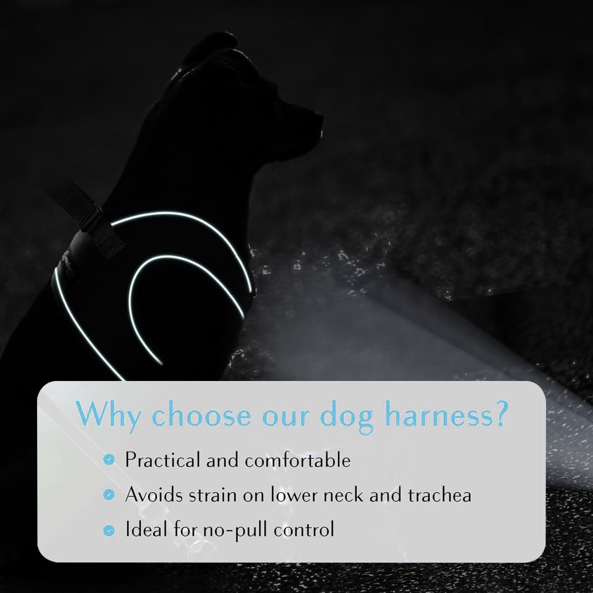 Comfort Fit Step-In Halloween Dog & Puppy Harness - Comfortable All Weather Dog Vest Harness: Adjustable, Soft Padded, Easy To P