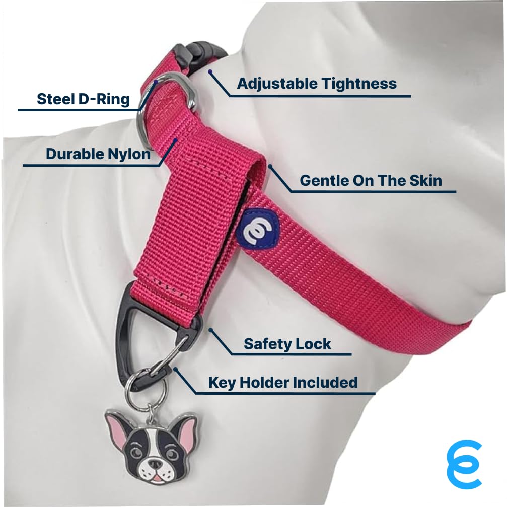 Blueberry Pet Essentials Matching Small Dog Collar & Key Holder Set | Adjustable Classic Solid Color Nylon Dog Collars for Small