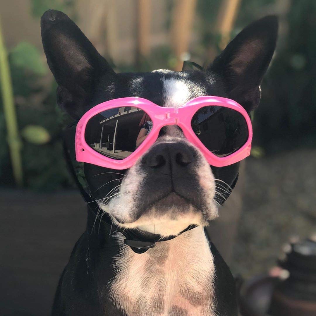 Petleso Dog Goggles Medium Breed, Pet Sunglasses For Medium Dogs Eye Protection Windproof, Pink