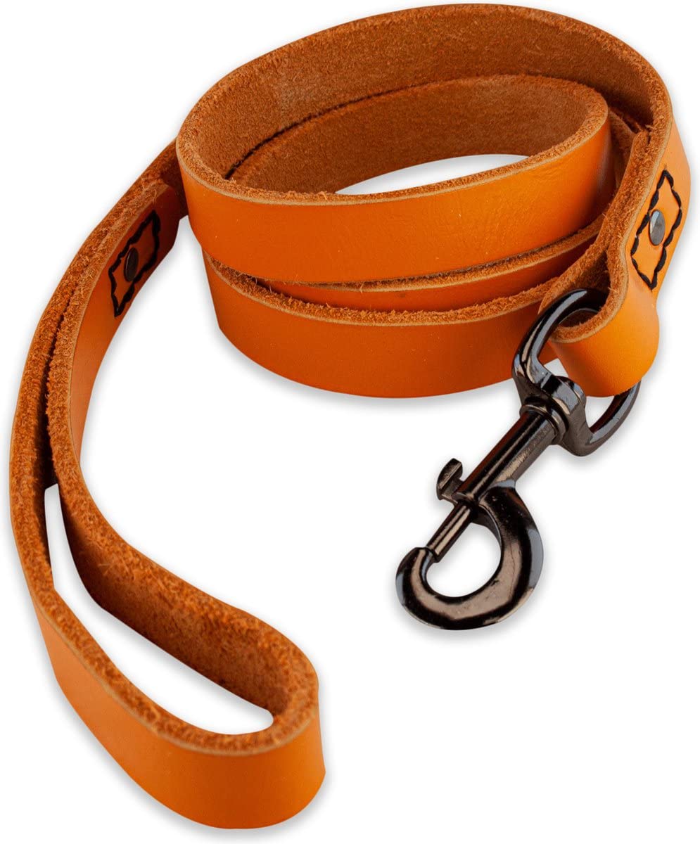 Brute Strength - Leather Dog Leash - 47Ft - Orange - Soft And Strong Full Grain Leather Leash For Large And Medium Dogs - Dog Tr