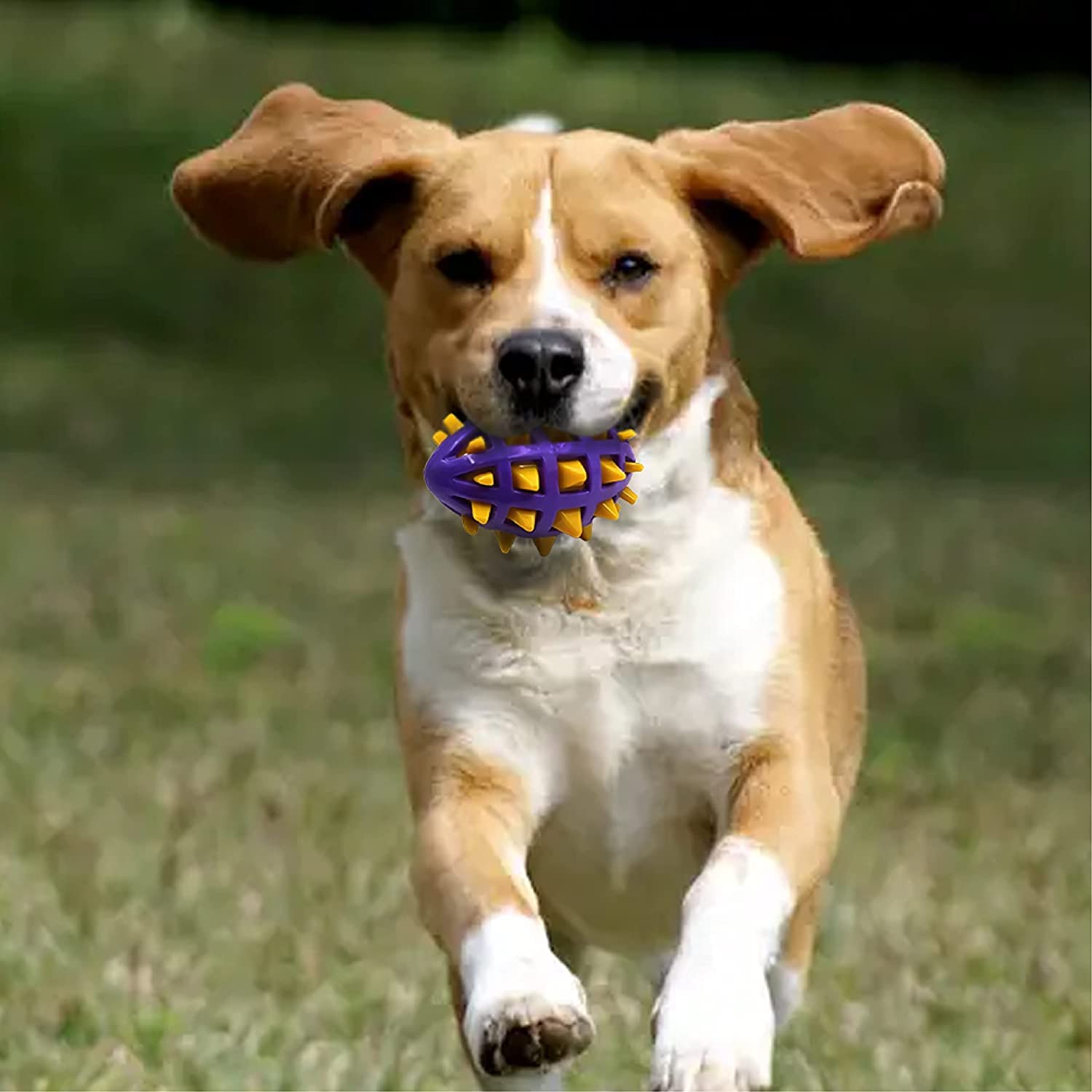 PETLICIOUS & MORE Dog Chew Toy Ball Durable Dog Treat Squeaky Rubber Shell Rugby for Aggressive Chewers for All Breed Dogs & Pup