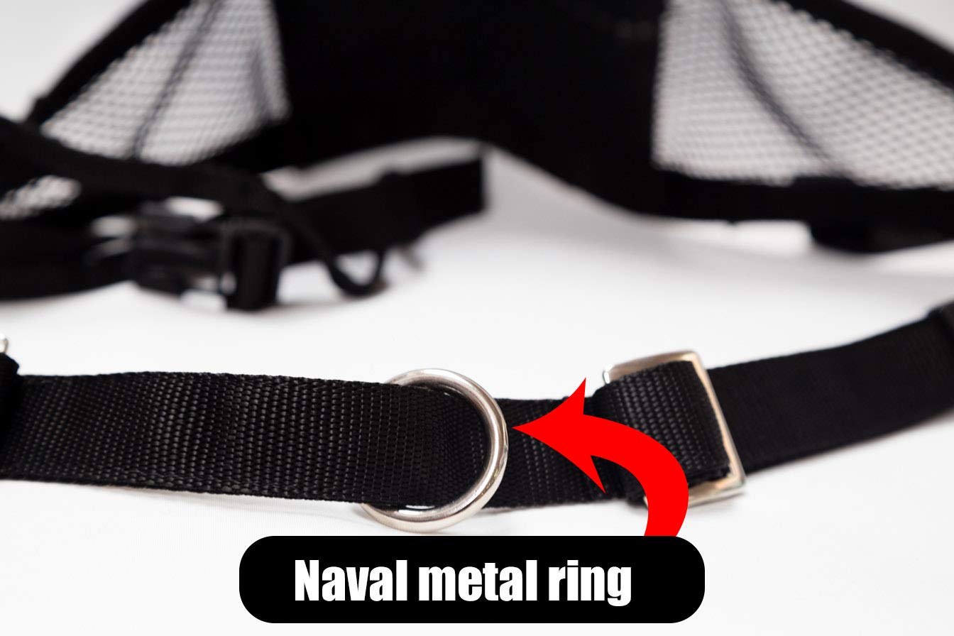 Neewa Canicross & Skijoring Belt To Run Or Walk With Your Dog With Dog Running Leash Hands Free 2 Dogs Or One, Dog Walking Belt For Multiple Dogs (One-Size-Fits-All, Black)