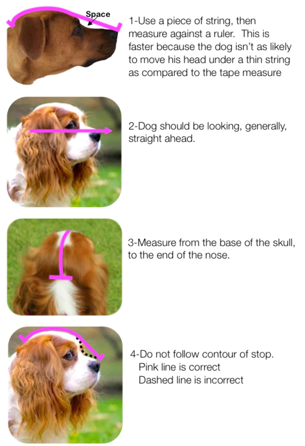 Outfox Field Guard Size Xxs - Vet-Recommended Dog Safety Mask For Foxtails, Grass Seeds, Bugs And Debris | Breathable, Lightweig