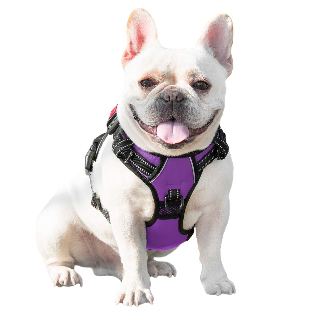 Phoepet Reflective Dog Harness Large Breed Adjustable No Pull Vest With With Handle 2 Metal Rings 3 Buckles [Easy To Put On & Take Off](L, Purple)