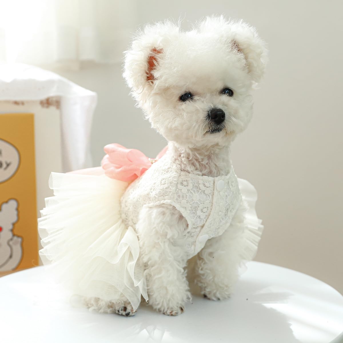 Clopon Dog Dresses Pink Dog Dress Female Yorkie Dresses Teacup Girl Puppy Clothes Extra Small Puppy Outfit Xs Pink