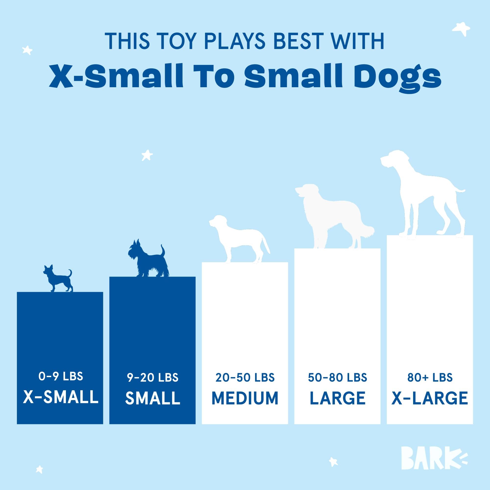 Barkbox Animal Squeakers Multi-Part Dog Toy - 4-in-1 Plush Toy Set with Treat-Hiding Crinkle Box & Three Squeaky Cookies - Fun P