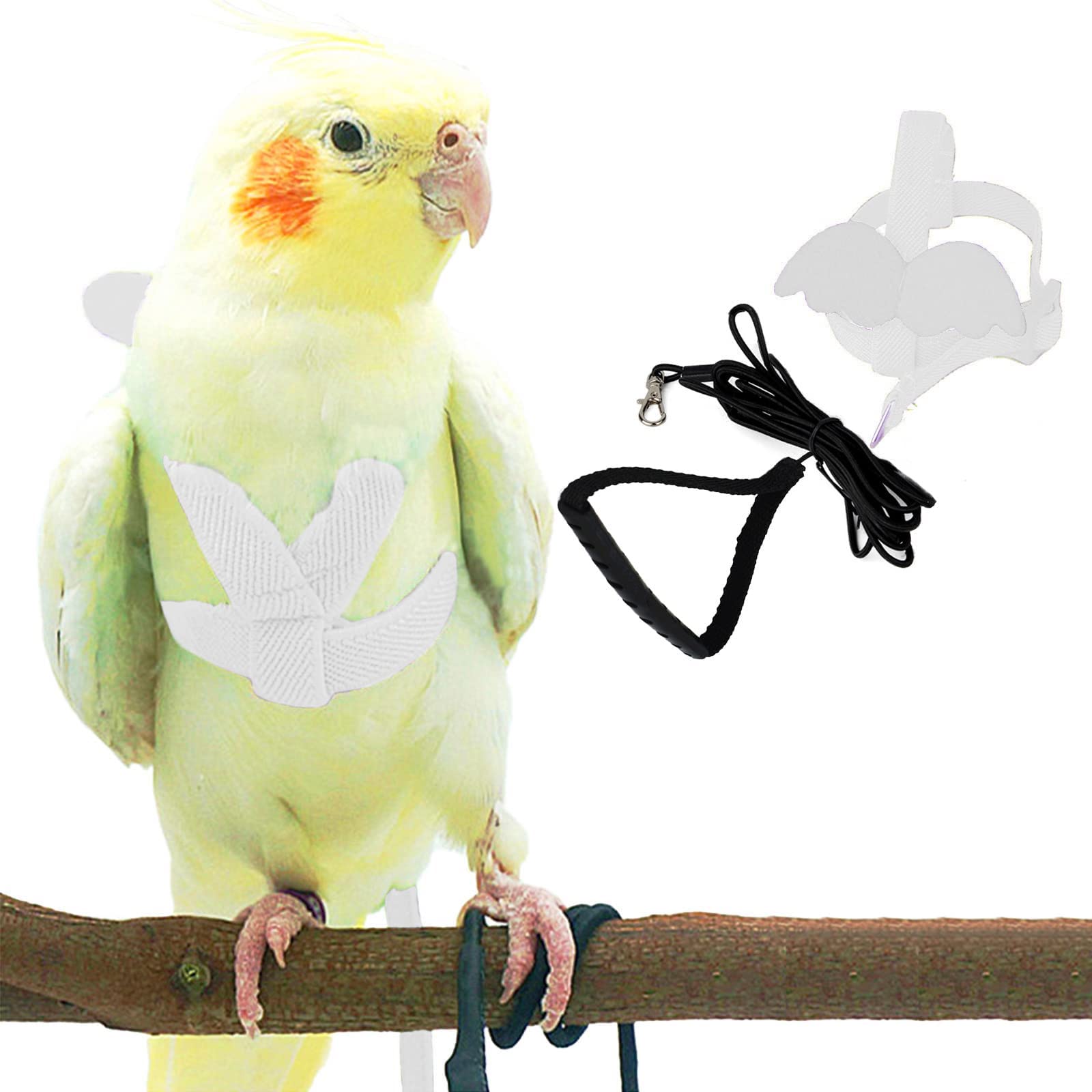 Pet Parrot Bird Harness And Leash, Adjustable Training Design Anti-Bite, Bird Nylon Rope With Cute Wing For Parrots, Suitable For Alexandrine, Scarlet, Keck, Mini Macaw Same Size Birds (White)