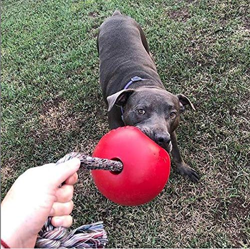 Jolly Pets Romp-N-Roll Rope And Ball Dog Toy, 8 Inches/Large, Red (608 Rd)