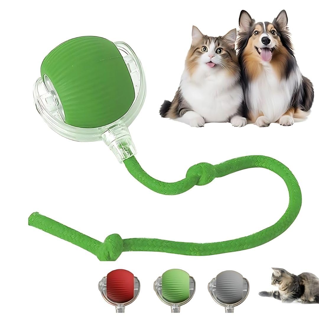 Pet Fun Cat Interactive Smart Rolling Toys Ball Led Automatic & Usb Rechargeable Motion Activate For Indoor Kitten Puppy Dog Cat