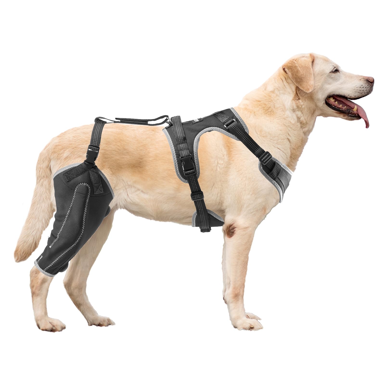 VEVOR Dog Knee Brace for Torn ACL, Dog Leg Brace with Adjustable Hinge Stabilizer, Pet Knee Support Harness for Right Hind Leg, 