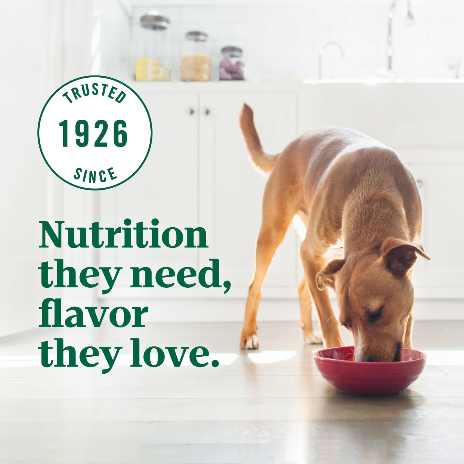 Nutro Ultra Senior Dry Dog Food with a Trio of Proteins from Chicken, Lamb and Salmon, 13 lb. Bag