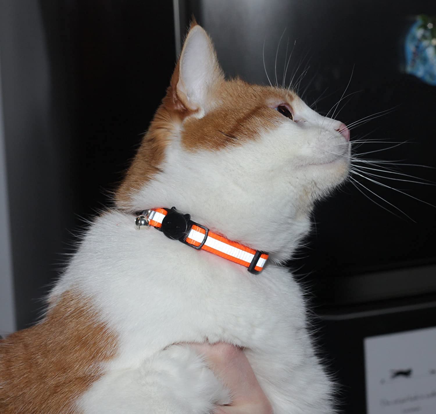 Reflective Cat Collar with Bell, Set of 6, Solid & Safe Collars for Cats, Nylon, Mixed Colors, Pet Collar, Breakaway Cat Collar