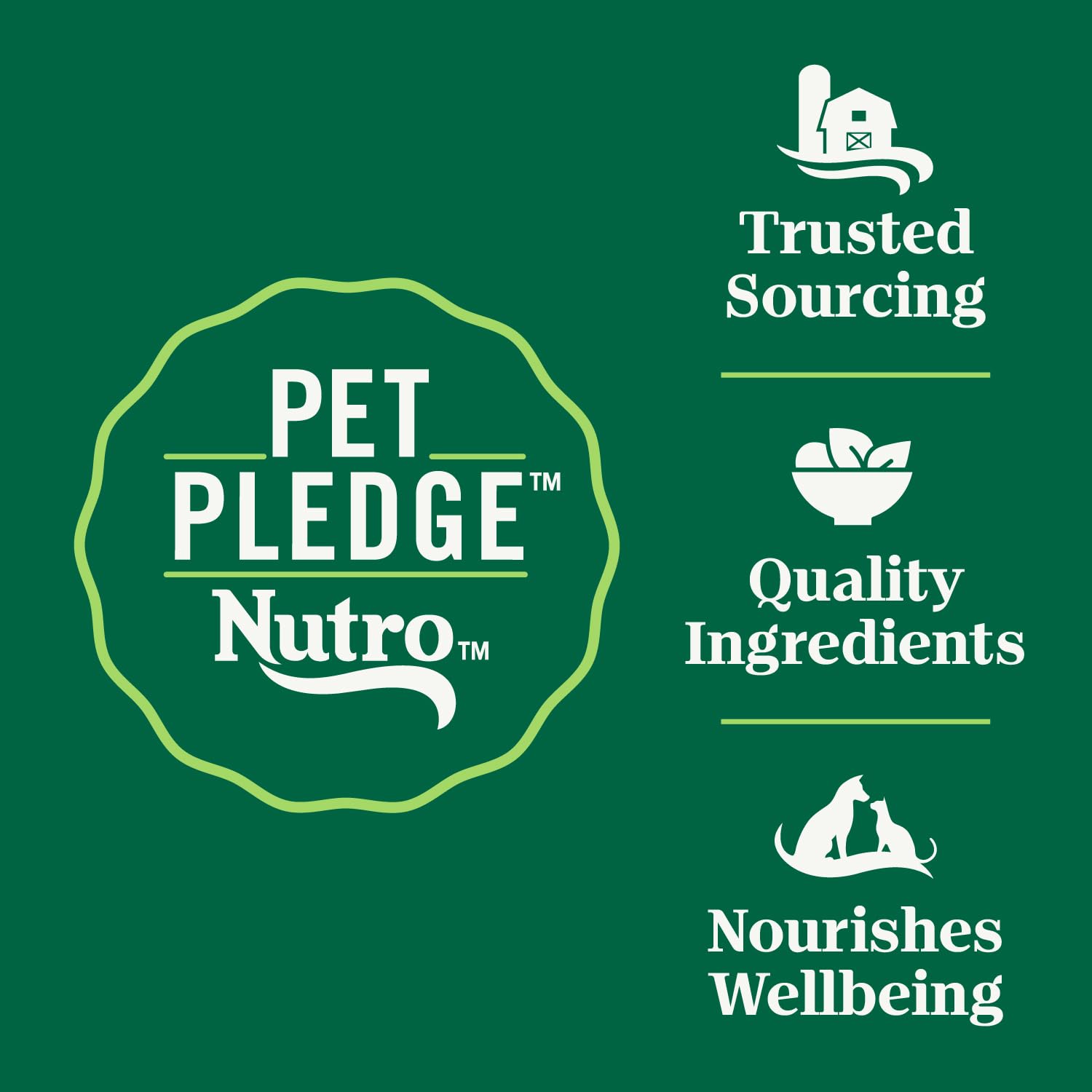 NUTRO WHOLESOME ESSENTIALS Natural Dry Cat Food, Senior Cat Chicken & Brown Rice Recipe , Kibble, 5 lb. Bag