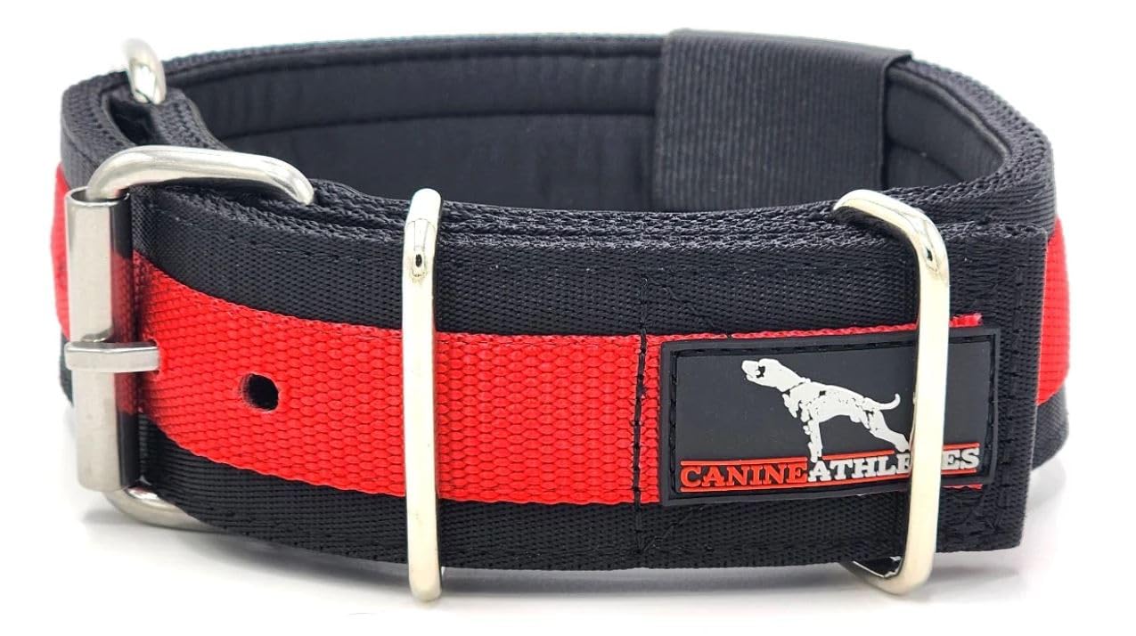 Canine Athletes 2' Wide Elite Max V2 Neoprene Padded Thick Working Dog Collar For Strong Dogs (Large)