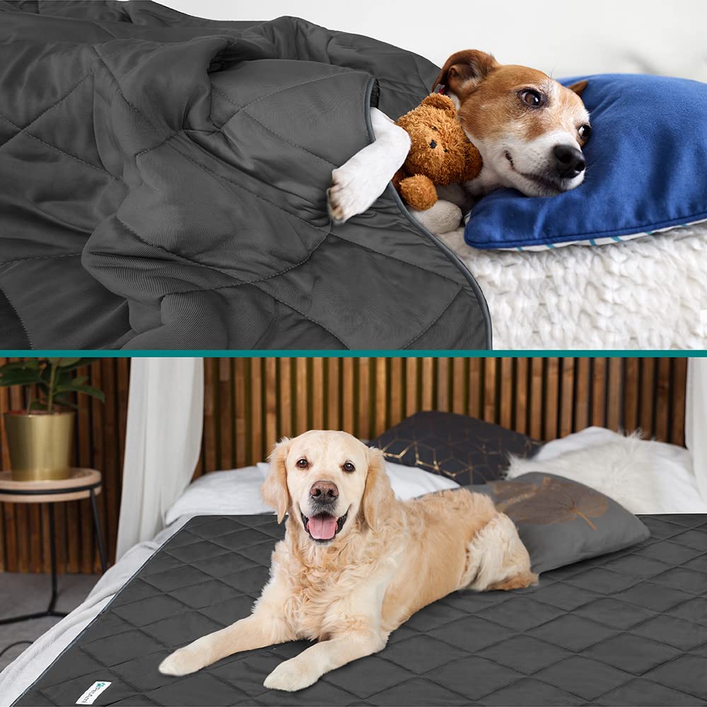 Petami Premium Cooling Dog Blanket | Lightweight Fluffy Pet Throw Blanket Bed Cover For Dogs, Cat, Puppies | Pet Blanket Furniture Protector Couch Sofa | Reversible Fuzzy Cozy | 40X60, Grey