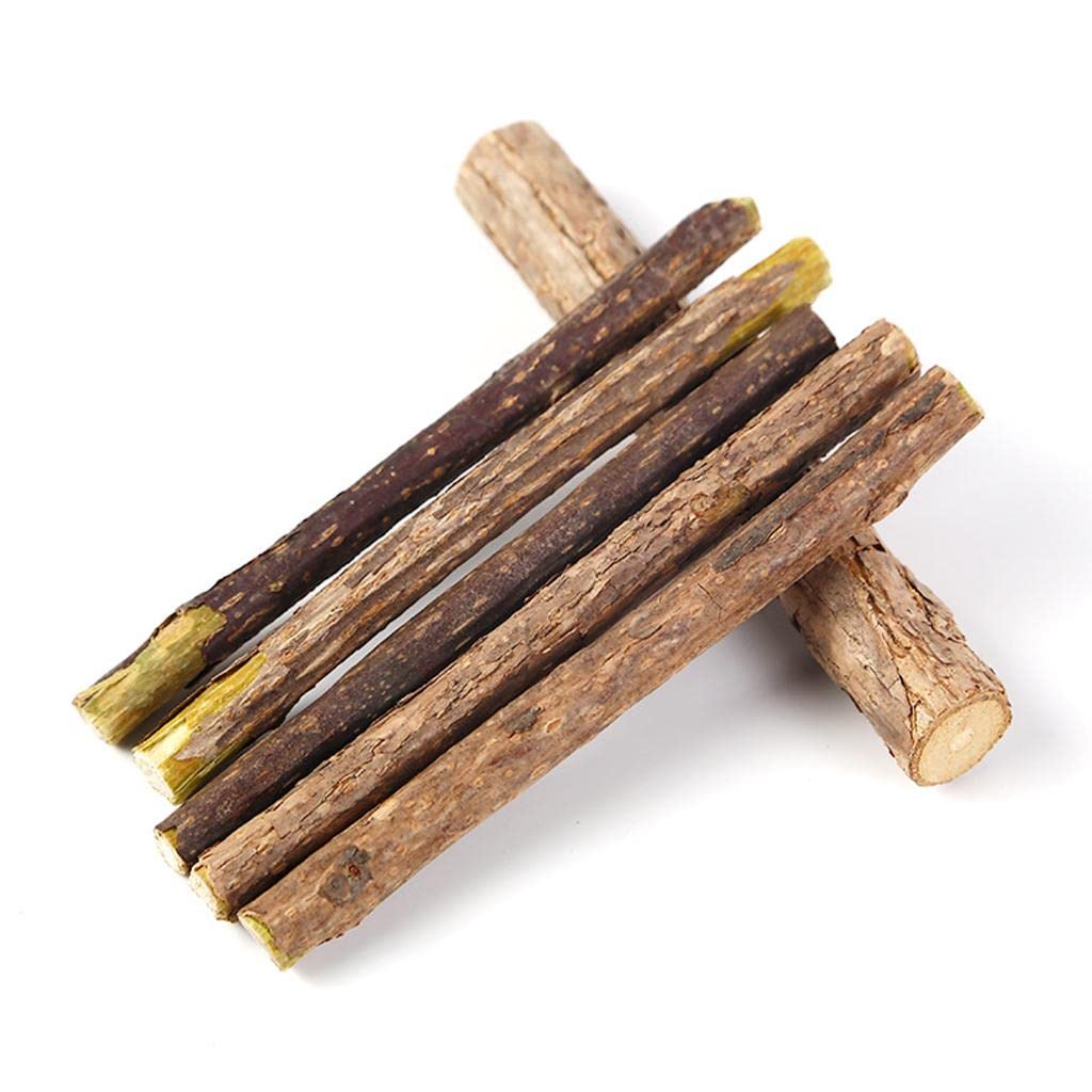 Calandis 5Pcs Catnip Silvervine Sticks Natural Toothpaste Actinidia Polygama Cat Toy