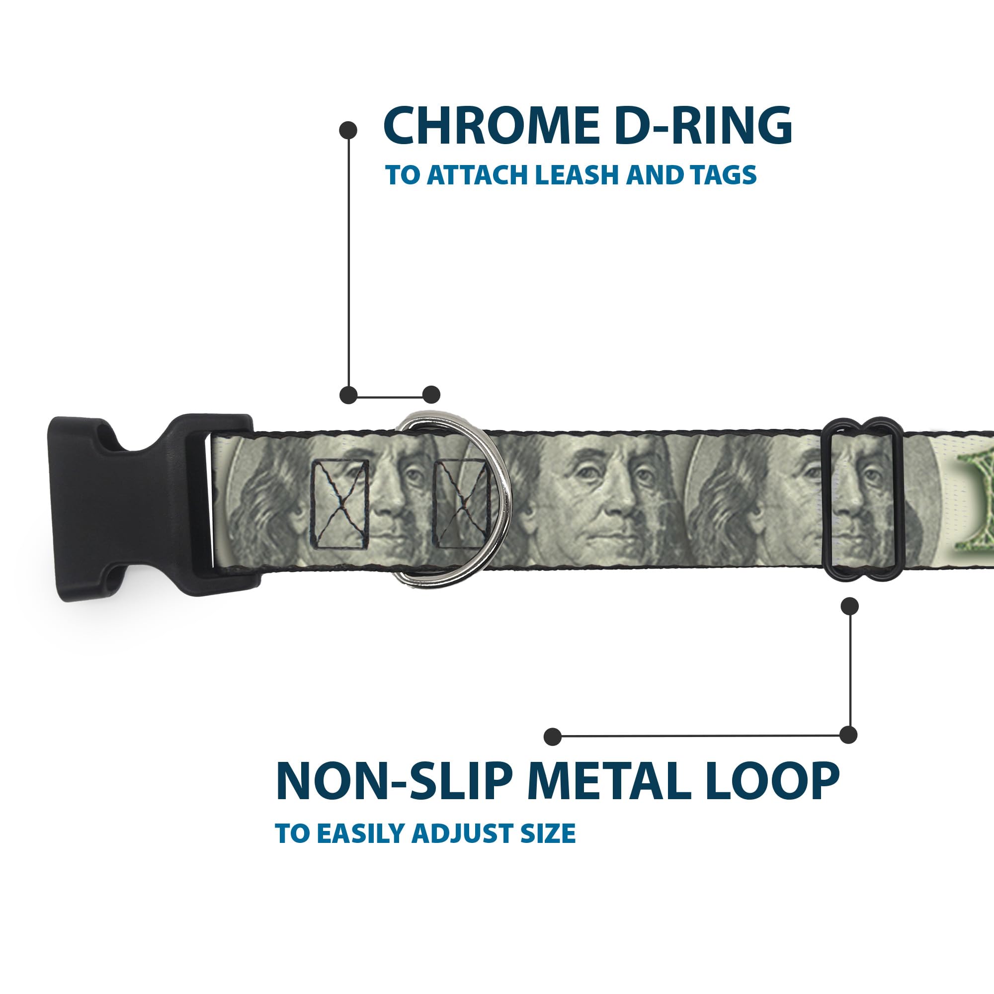 Buckle-Down 100 Dollar Bill C/U/Triple Benjamin Plastic Clip Collar, 1'' X 9-15''/Small