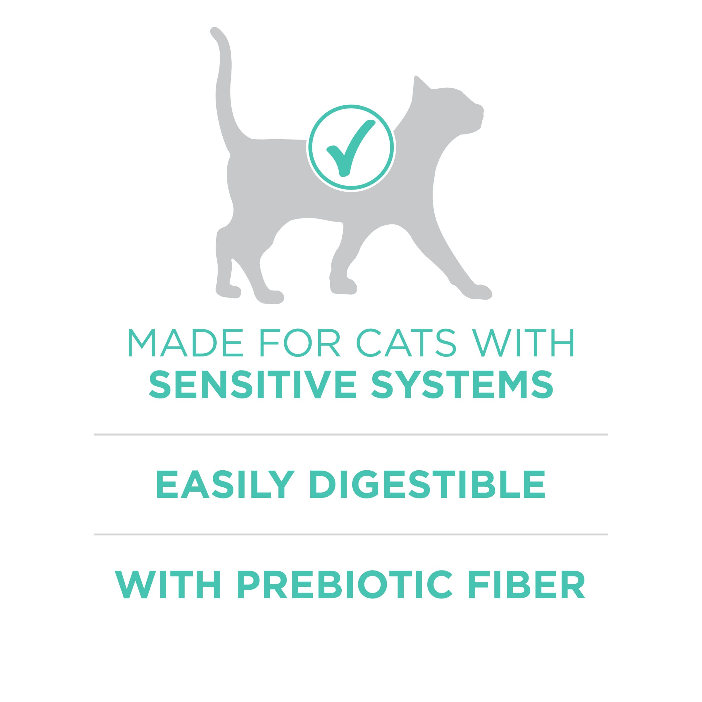 Purina ONE Sensitive Stomach, Sensitive Skin, Natural Dry Cat Food, +Plus Sensitive Skin and Stomach Formula - 3.5 lb. Bag
