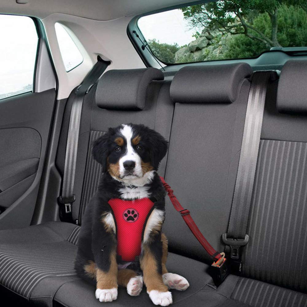 SlowTon Dog Seat Belt Harness - Adjustable Mesh Breathable Safety Tether for Small Medium Large Pets, XXX-Small, R-Red Seatbelt