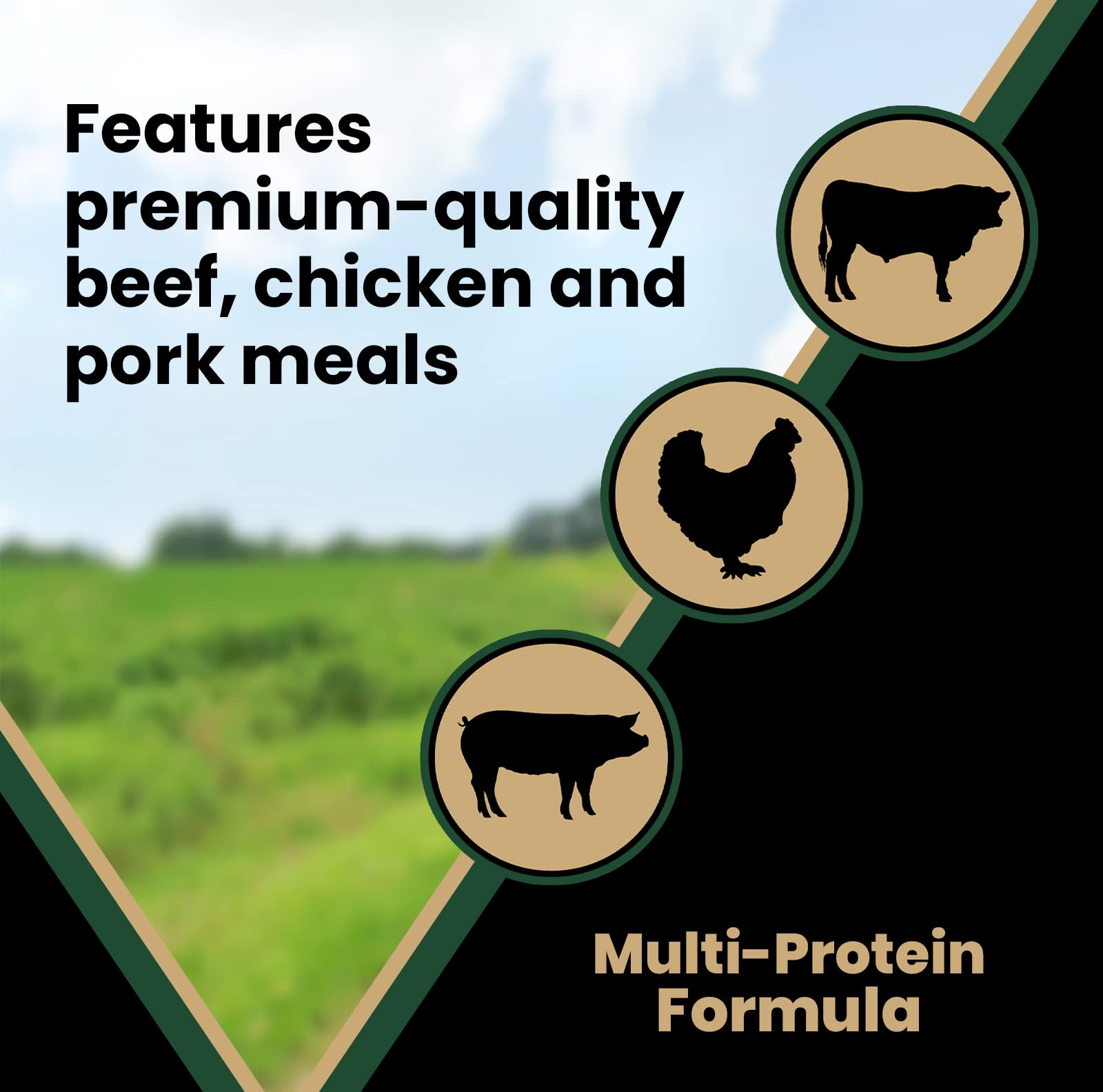 Victor Super Premium Dog Food - Performance Dry Dog Food - 26% Protein for Active Adult Dogs - Includes Glucosamine and Chondroi