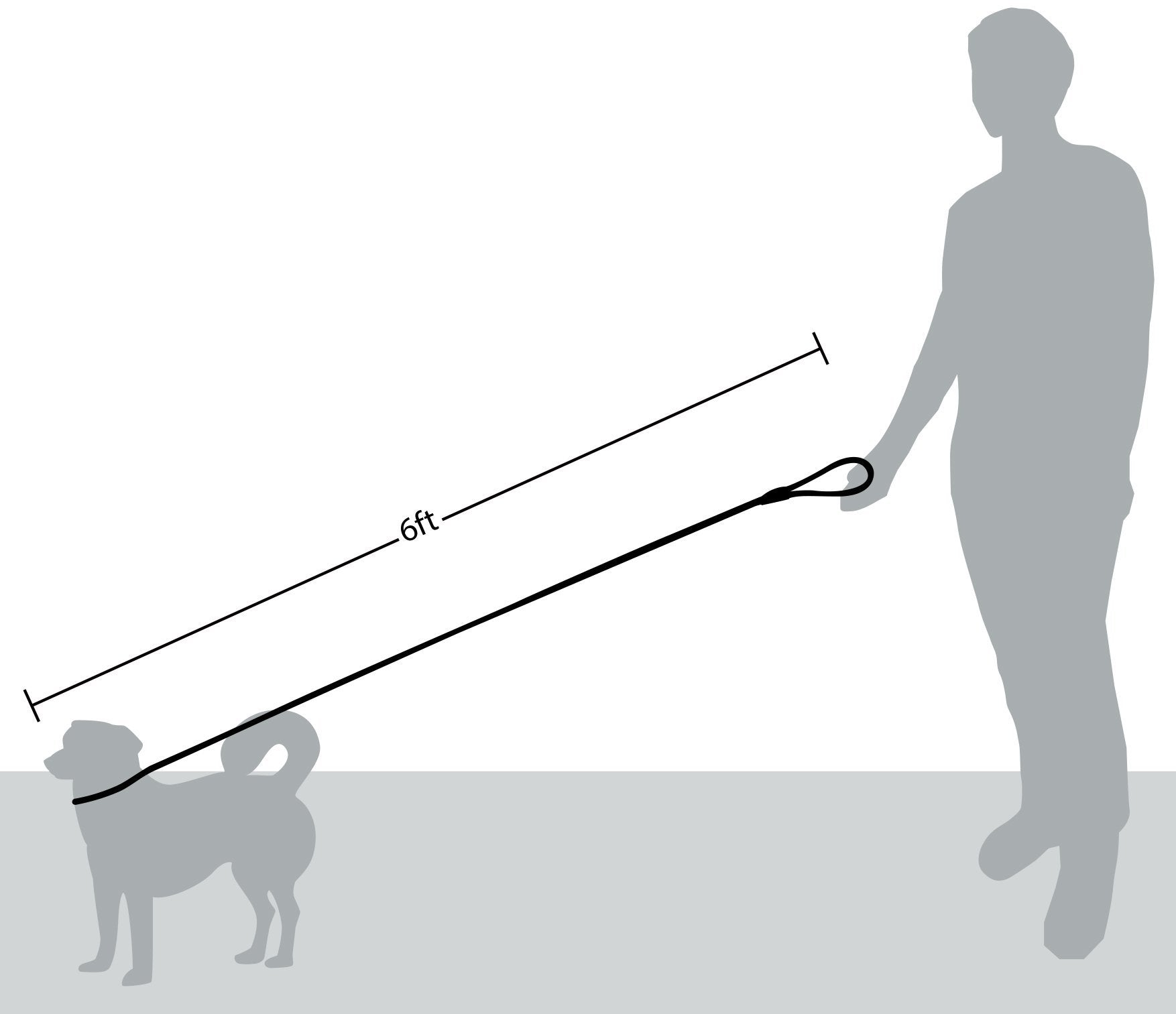 Friends Forever Dog Rope Leash - Durable Reflective Slip Lead, 6ft Nylon, Blue, Heavy Duty for Large & Medium Pets
