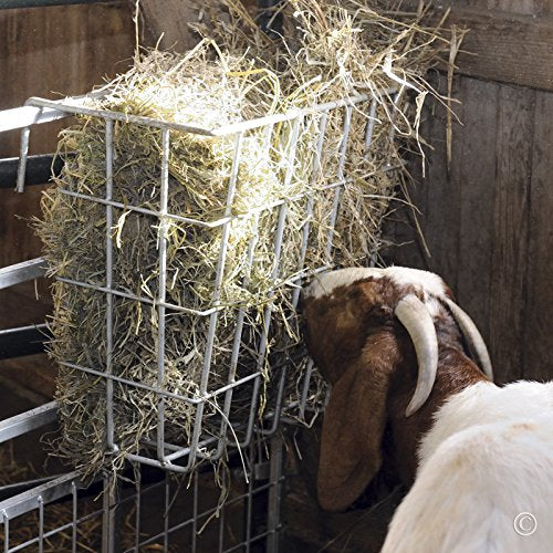 Premier 1 Supplies X-Tuff Single Sided Hay Feeder - Hot Dipped Galvanized, Model 938135