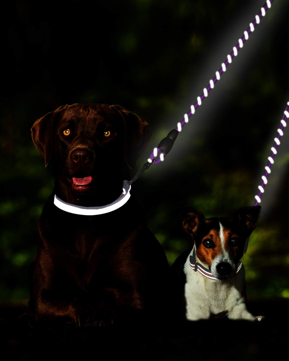 Taglory Double Dog Leash | Reflective Rope | No Tangle | Double Leash For Two Dogs | Puppy Small Medium Breeds | Purple